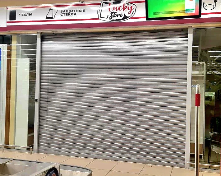Роллетные ворота DoorHan в Саранске с установкой