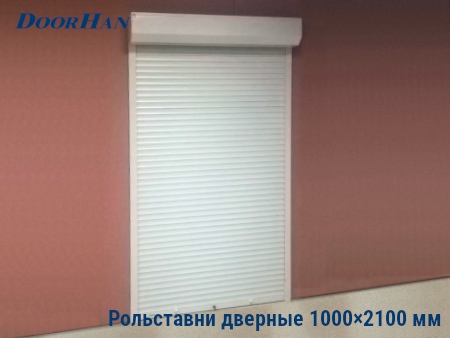 Рольставни на двери 1000×2100 мм в Саранске от 28719 руб.