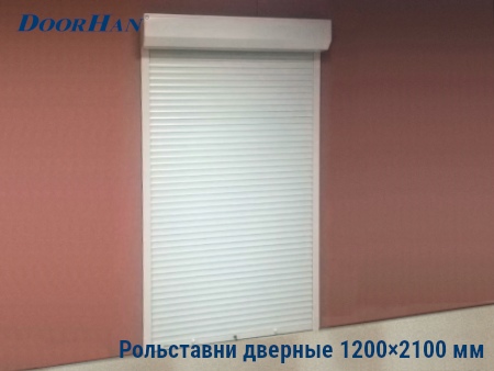 Рольставни на двери 1200×2100 мм в Саранске от 31635 руб.