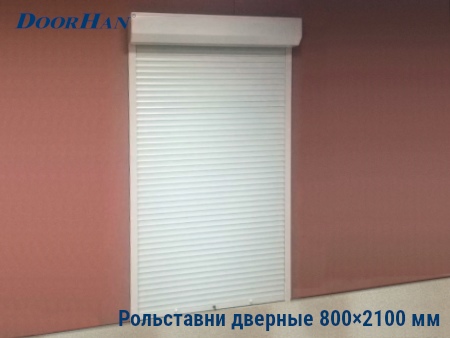 Рольставни на двери 800×2100 мм в Саранске от 25803 руб.
